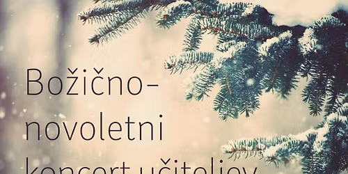 Bo\u017ei\u010dno-novoletni koncert u\u010diteljev
