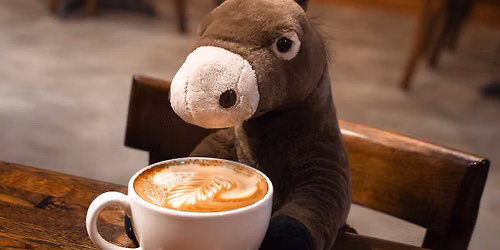 17 Years of Dancing Mule Coffee