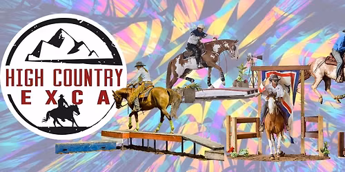 Mansfield Show - Obstacle Challenge