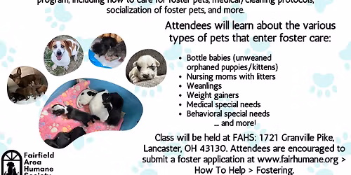Fostering 101