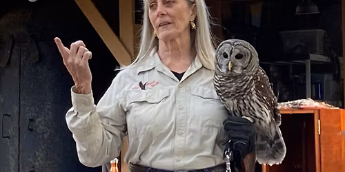 Monday with Wild About Birds