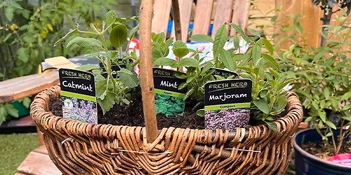 Herb Basket Workshop