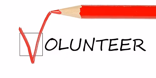 Bingo and Treats Social