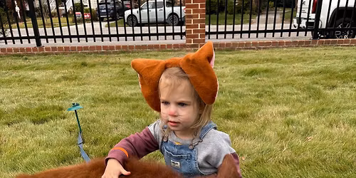 Farm Day at Udder Nonsense Creamery