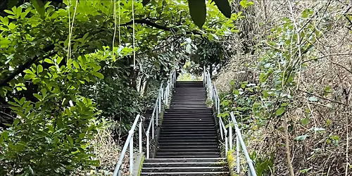 Galer to TV Tower Stair Walk - Seattle Stair Walkers Event