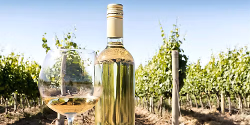 Sauvignon Blanc Around the World