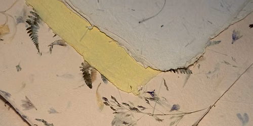 Papermaking with Botanicals: Seeds