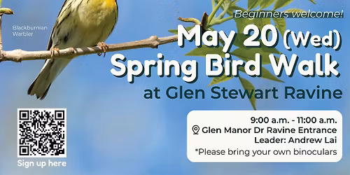 Spring Bird Walk
