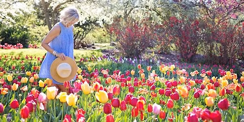 Gardening to delight the senses with Sarah Hopps