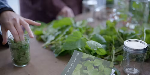 Restorative Wildcrafting Workshop