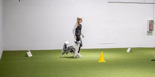 Koeruse MA Rallikuulekuse v\u00f5istlus 18.01.2026