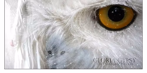 Accredited Shamanic Practitioner Training