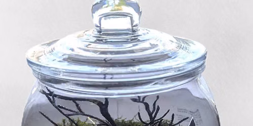 Spooky Terrarium Workshop at Werner Books