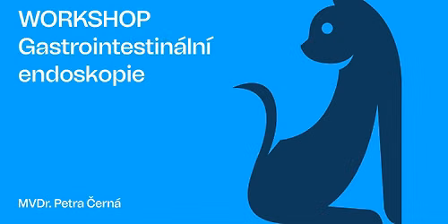 Workshop: Gastrointestin\u00e1ln\u00ed endoskopie
