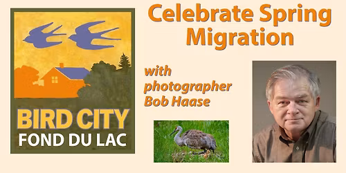 Bird City with Bob Haase: Spring Migration