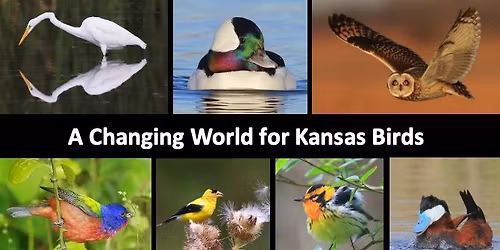 November General Meeting