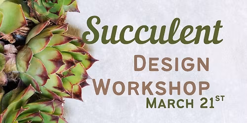 Succulent Design Workshop