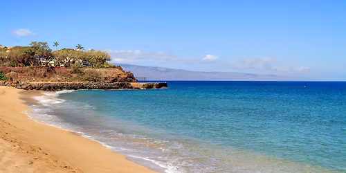 11th Annual Sophie Swim