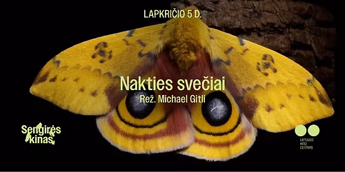 SENGIR\u0116S KINAS Nacionaliniame saugom\u0173 teritorij\u0173 lankytoj\u0173 centre: \u201eNakties sve\u010diai\u201c