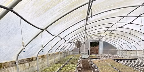 Mother's Day Plant Sale