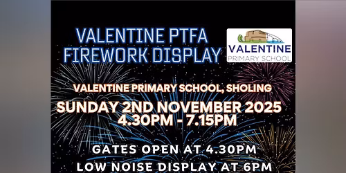 Firework Display At Valentine Primary