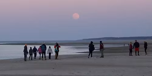CraneOutdoors: Dunes by the Light of the Full Moon