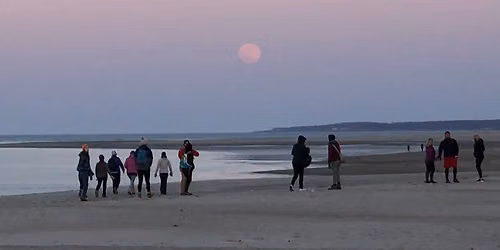 CraneOutdoors: Dunes by the Light of the Full Moon