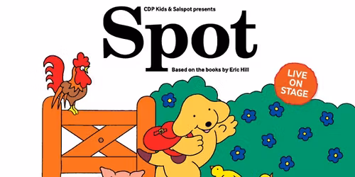 SPOT 