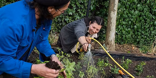 Hackney Buzzline weekly volunteering sessions