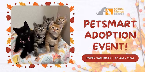 Adoption Event at PetSmart Fort Collins