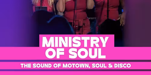 Soul & Motown Night - Ministry of Soul Band
