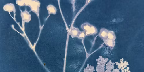Atelier Cyanotype avec Surface sensible 