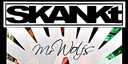 SKANKt @Mr Wolf's, Bristol