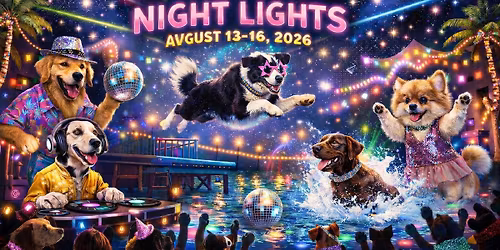 K9WW Night Lights 