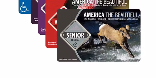 Collect A Con - 2 Day Pass