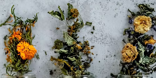 Atelier d\u00e9couverte : Le monde des tisanes