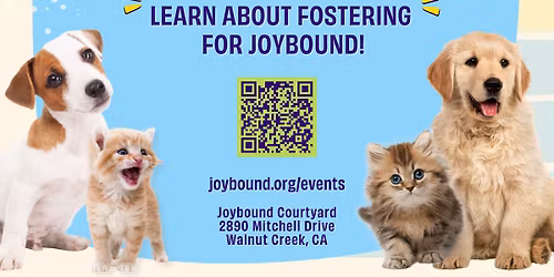 Joybound Puppy and Kitten Party