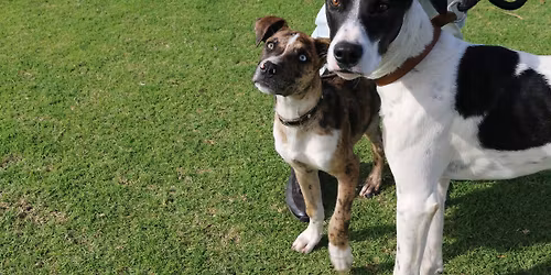 Community Action Day - Busselton