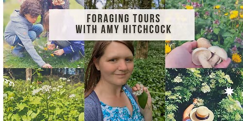 Wild Garlic Weekday Wander at the SECRET WOODS