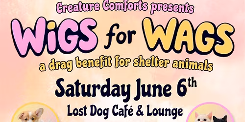 Wigs for Wags: A Drag Benefit for Shelter Animals