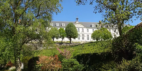Visite guid\u00e9e "Angers, c\u00f4t\u00e9 vigne : visite insolite \u00e0 l'Abbaye Saint-Nicolas" \ud83c\udf47