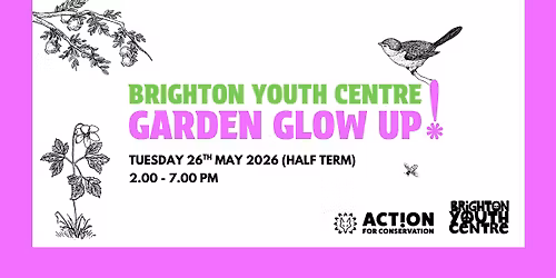 Garden Glow Up | Community Gardening Day at Brighton Youth Centre