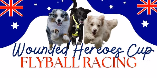 Wounded Heroes Cup Flyball Racing