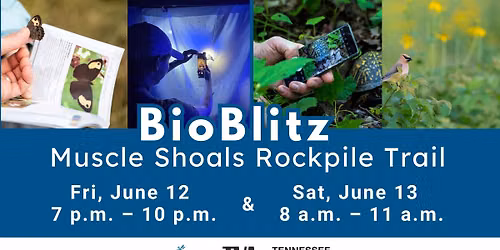 BioBlitz at Muscle Shoals Rockpile Trail