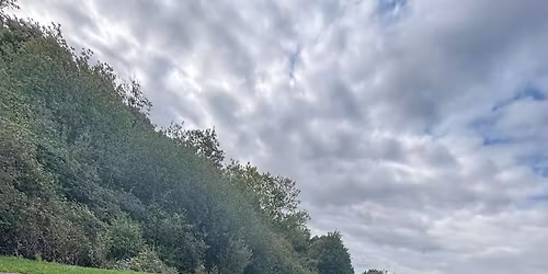 Callie\u2019s Xmas PAWTY \ud83c\udf84\ud83e\udd36\ud83d\udc36