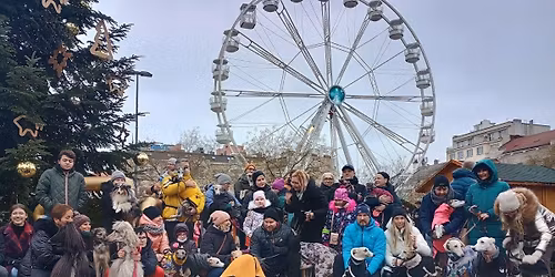 Chrt\u00ed sraz u v\u00e1no\u010dn\u00edho stromu v centru Ostravy