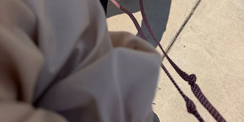 Loose-leash community training 