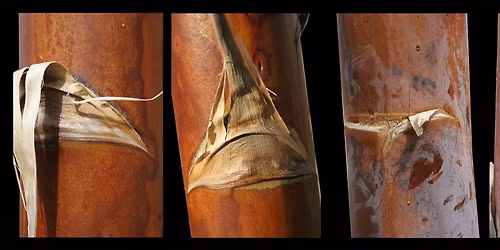 Art Opening: BEER & PHOTOGRAPHY (the perfect pairing) with Carmel Brennan