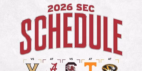 South Carolina Gamecocks vs. Texas Longhorns