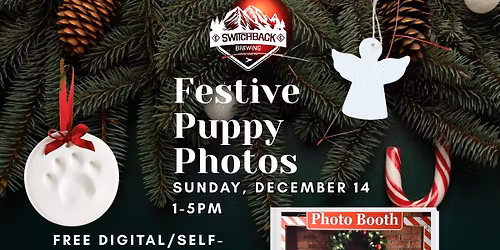 Festive Puppy Photos @ Switchback Brewing